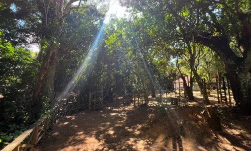 Barra do Piraí promove "Um Dia no Horto" com programação gratuita de lazer e educação ambiental